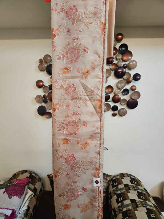 Tissue Organza Saree